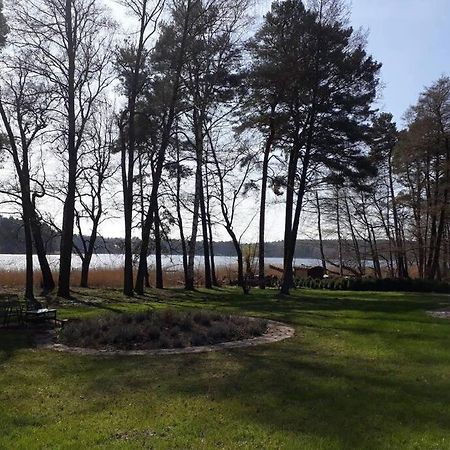 Penthouse Bernd Im Waldschloesschen Direkt Am See Wendisch Rietz Exterior photo